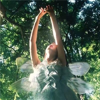 韩裔美人的日与夜